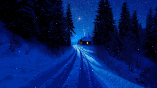 Snowbound Home