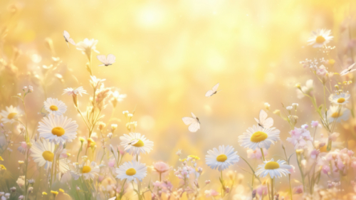 Wildflowers 4K